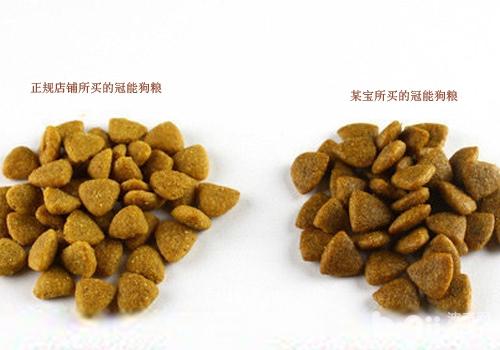 Some misunderstandings about dog food